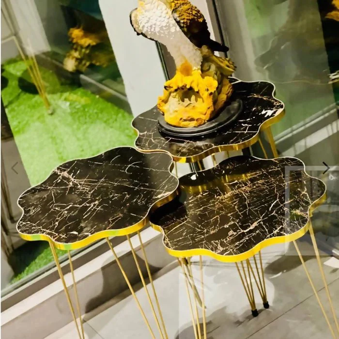 flower white/Black Side table / Coffee Table - Image 5